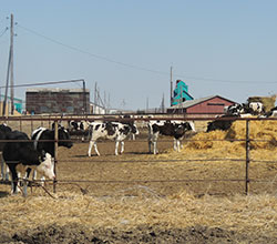 ОАО «Искра»