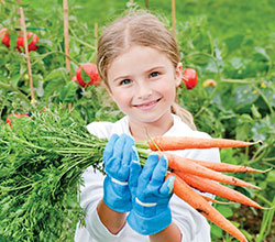 Фермеры